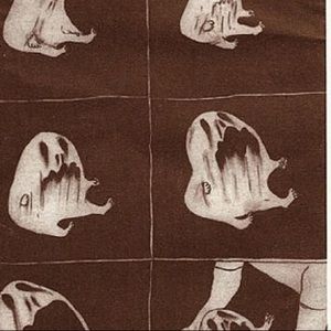 Meet your Posher, Mickey